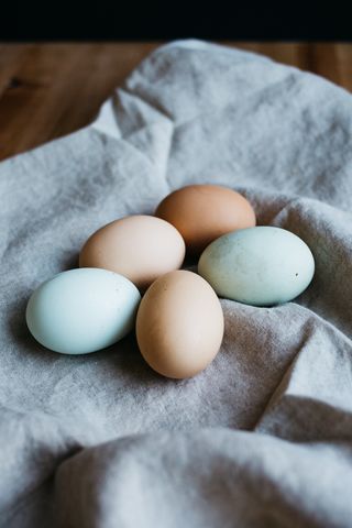 Eggs by Rachael Gorjestani/ Unsplash