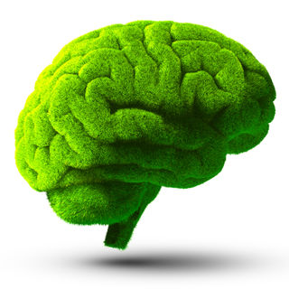 Anton Balazh/Shutterstock Anton Balazh/Shutterstock