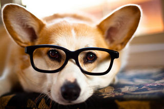 Alvin Trusty photo - Creative Content License Alvin Trusty photo - Creative Content License