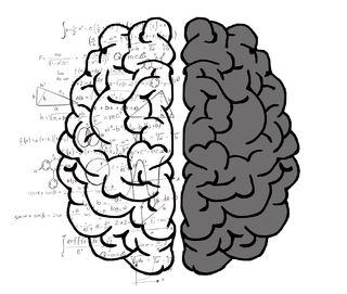 Left Brain-Right Brain Study Debunks a Decades-Old Neuromyth