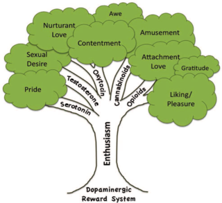 Shiota and colleagues' proposed "family tree" of positive emotions. Used with author's permission Shiota and colleagues' proposed "family tree" of positive emotions. Used with author's permission