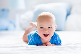FamVeld/Shutterstock FamVeld/Shutterstock