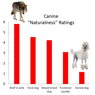 why is cloning animals unethical