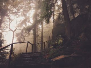 Beata Ratuszniak/Unsplash Beata Ratuszniak/Unsplash