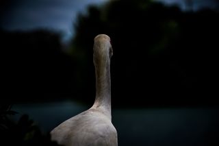 The Fear Of Being Alone Psychology Today - 