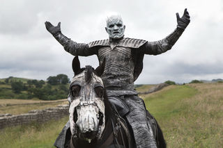 White Walker Taylor Herring White Walker Taylor Herring