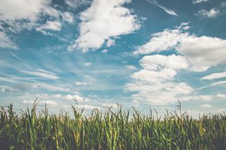 Pexels/Pixabay Pexels/Pixabay