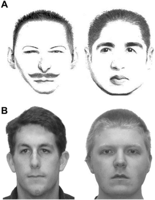 Psychonomic Society (Barton & Halberstadt, Fig. 1) Psychonomic Society (Barton & Halberstadt, Fig. 1)