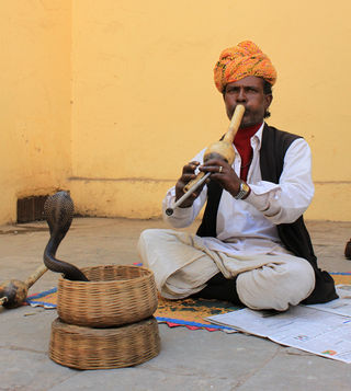 Binit Shrestha/Flickr Binit Shrestha/Flickr