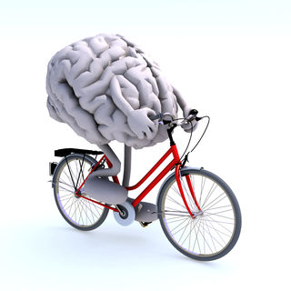 Fabio Berti/Shutterstock Fabio Berti/Shutterstock