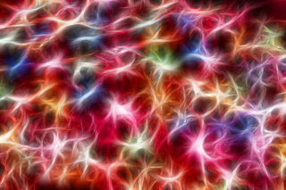 Courtesy of Gabe and Amanda Phoenix Courtesy of Gabe and Amanda Phoenix