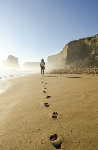 1000+ Sand Beach Pictures  Download Free Images on Unsplash