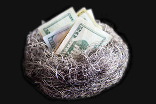 Nest egg of cash by American Advisors Group Flickr Licensed Under CC BY 2.0