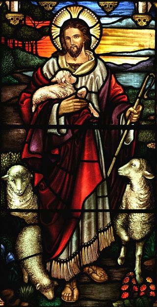 stained glass at St John's Ashfield in Sydney, Australia stained glass at St John's Ashfield in Sydney, Australia