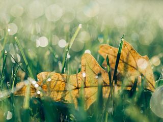 Unsplash/Pixabay Unsplash/Pixabay