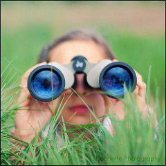 Flickr Flickr