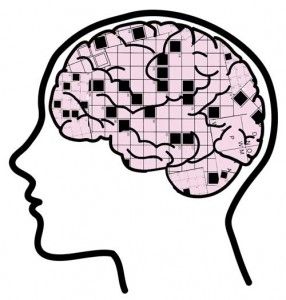 Improve Your Memory The Case Against Crosswords And Google - 