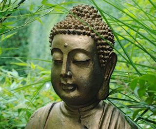 New Year’s Resolutions the Buddha Might Have Made | Psychology Today