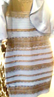 white & blue dress