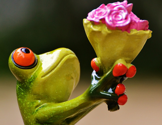 Alexas_Fotos / Pixabay