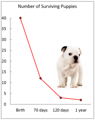 Graph by Hal Herzog/ Photo 300miles/flickr Graph by Hal Herzog/ Photo 300miles/flickr