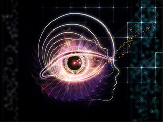 Shutterstock Shutterstock