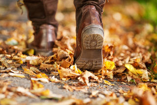 Racom/Shutterstock Racom/Shutterstock