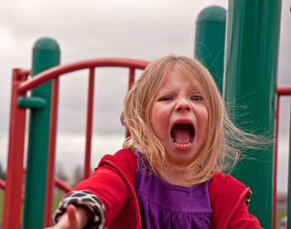 joyfuldesigns/Shutterstock joyfuldesigns/Shutterstock
