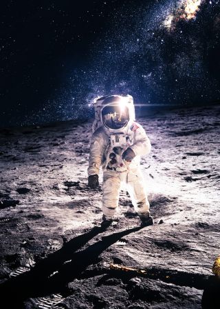 Vadim Sadovski/Shutterstock