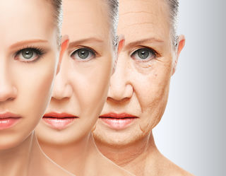 Evgeny Atamanenko/Shutterstock Evgeny Atamanenko/Shutterstock