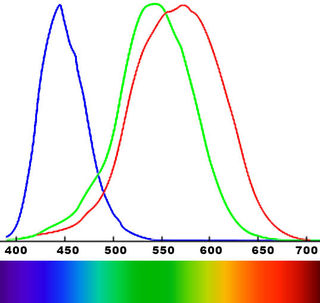 Sensitivity of three different color receptors in eye. Original by author, including elements from Wikipedia Commons.