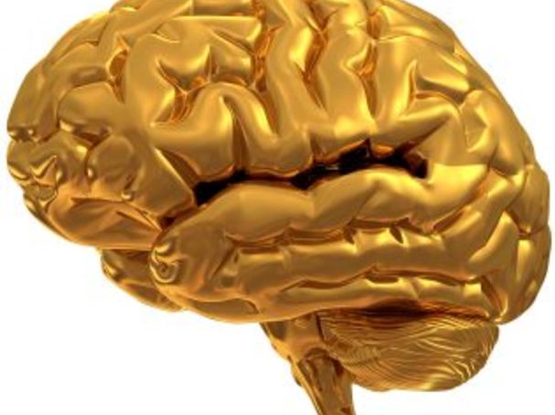 http://www.braintrainingpuzzle.co.uk/childrens/ Does Brain Training Improve Cognitive Skills in ADHD?