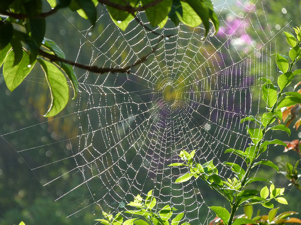 ChristyGallois/Flickr