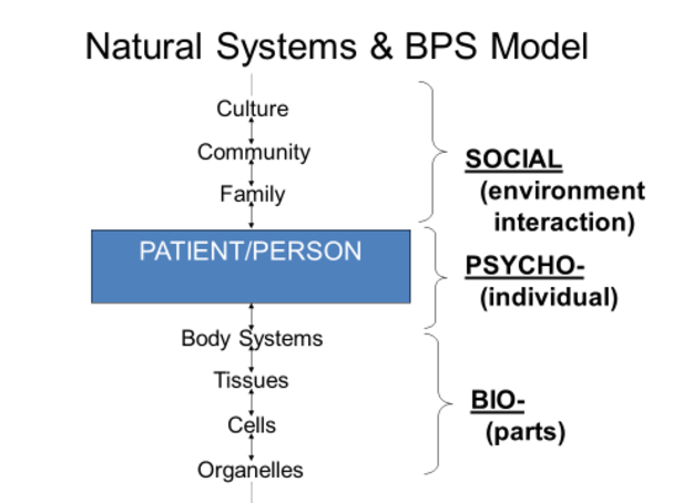 The Biopsychosocial Model and Its Limitations | Psychology Today Ireland
