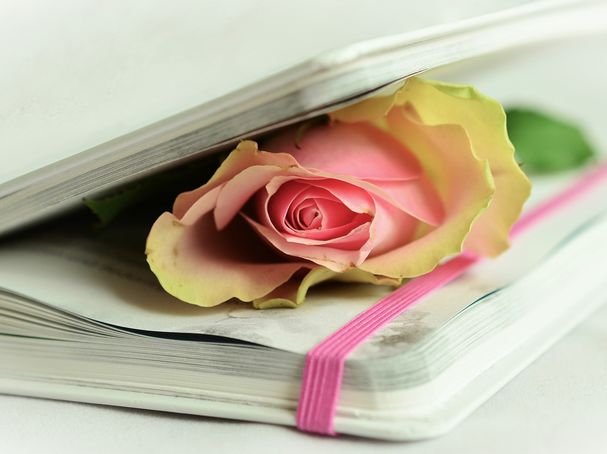 CCO Creative Commons