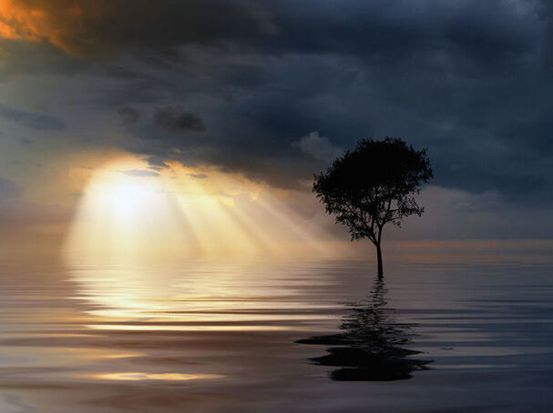 Carlos Gotay Martínez/Flickr