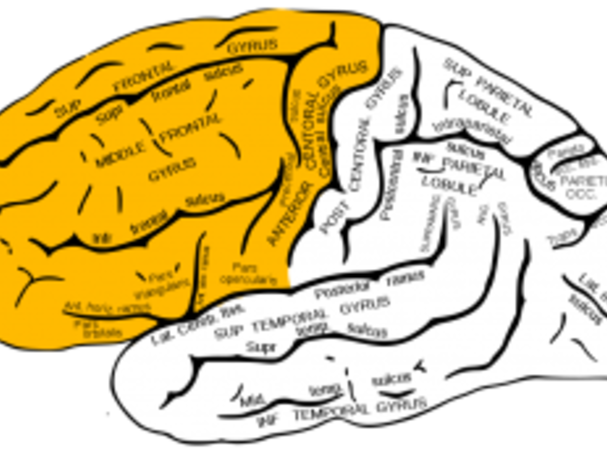 Brain Trauma Can Cause Compulsive Sexual Desires Psychology Today