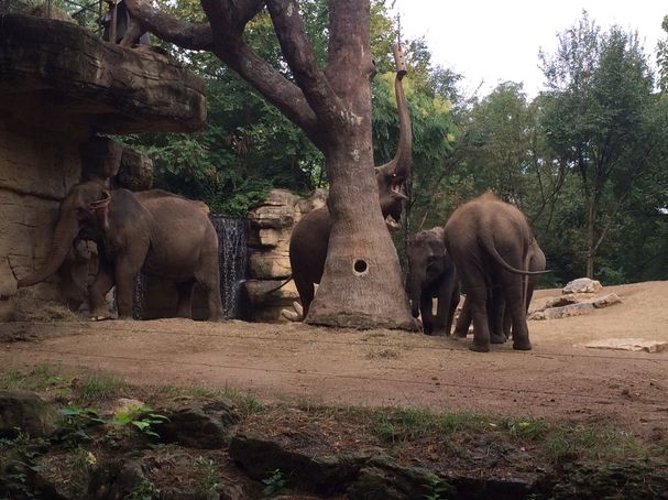 Photo by Dottie Kinscherf used with permission