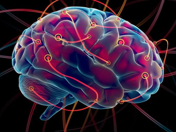Neurofeedback Ginny Estupinian Phd