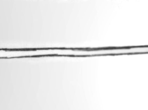 Wikimedia Commons: Pinocchio by André Koehne