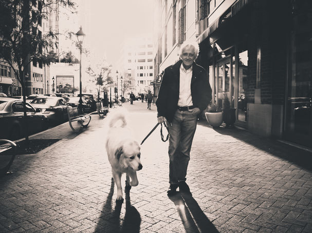 Pexels (free stock photo)