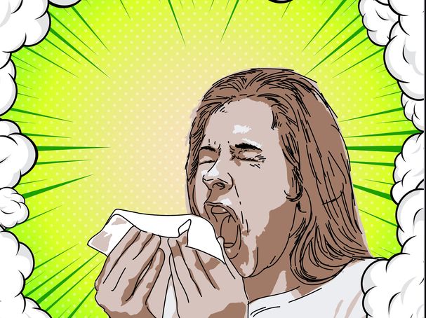 Pixabay, Creative Commons license