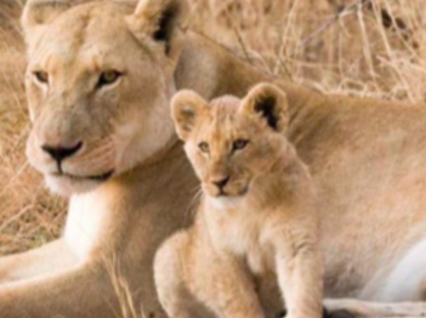 Greg Willis via Wikimedia/CC BY-SA 2.5