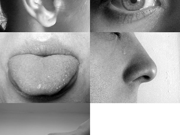 Allan-Hermann Pool image.