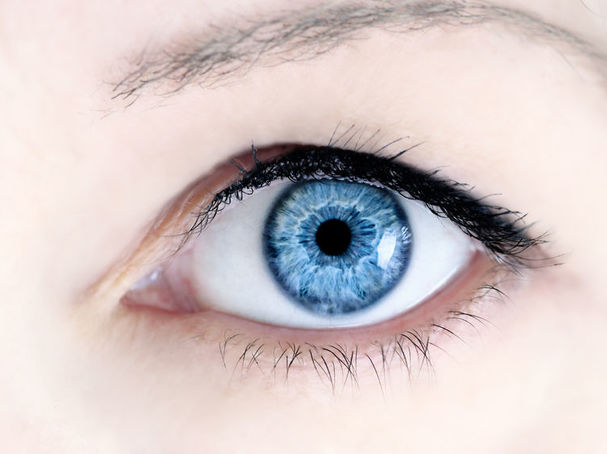 5 Secret Powers Of Eye Contact Psychology Today,Effective Annual Interest Rate Calculator