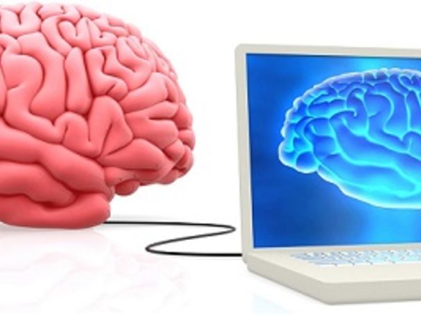 Elon Musk's Brain-Computer Interface—Reality Check ...