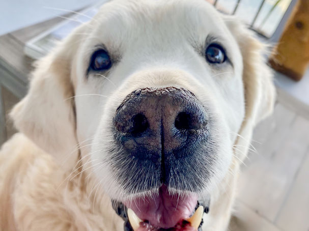 Photographed by Jen Golbeck