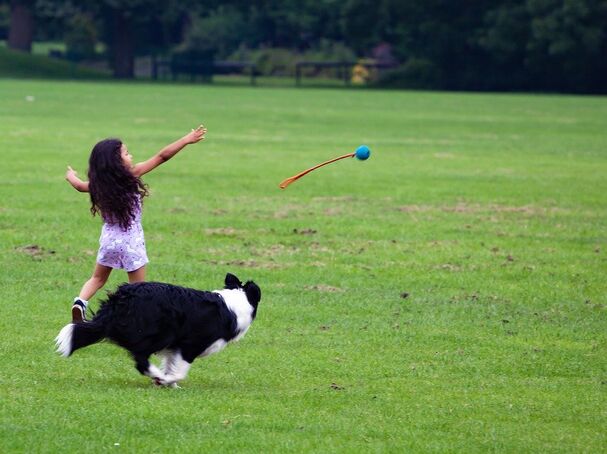 Pixabay, free download