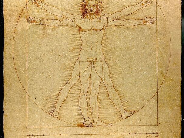 Da Vinci / Vitruvian Man / Wikimedia Commons Public Domain