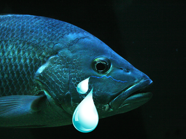 Pamela Rutledge/Paco Joss on Unsplash